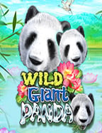 ตู้ สล็อต ผล ไม้ ไทย: เคล็ดลับและสูตรการเล่นที่ห้ามพลาด